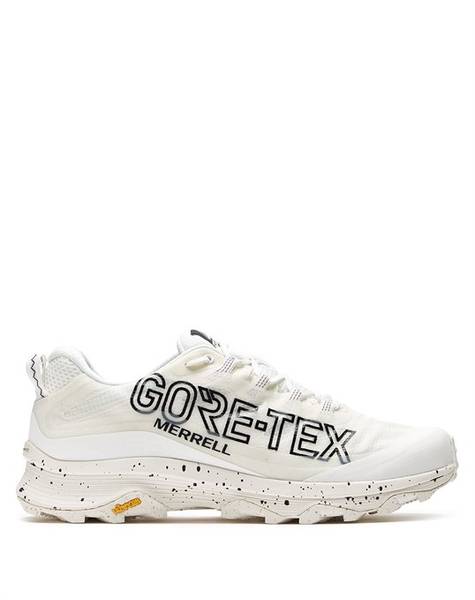 Кроссовки Moab Speed GORE TEX 3D347E32